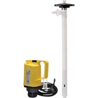 Pompes &agrave; tambour &eacute;lectriques, PVDF, 42 gal./min Helyx Safety & Industrial Supplies