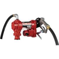 Pompes c. a. utilitaires &agrave; soupape rotative avec embout, 115 V, 15 gal./min Helyx Safety & Industrial Supplies
