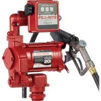 Pompes &agrave; palettes, rotatives & utilitaires, c.a., 115 V, 20 gal./min Helyx Safety & Industrial Supplies