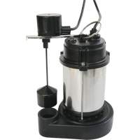 Pompe &agrave; boîtier en acier inoxydable et base en fonte, 1/3 CV, D&eacute;bit 3630 gal./h Helyx Safety & Industrial Supplies