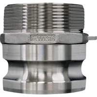 Cam & Groove Coupling, Stainless Steel, Type F, 3/4", Male NPT, 250 PSI Helyx Safety & Industrial Supplies
