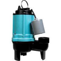 Pompe d'&eacute;gouts de s&eacute;rie 10SC, 115 V, 11 A, 120 gal./min, 1/2 CV Helyx Safety & Industrial Supplies