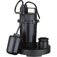 Pompe de puisard submersible thermoplastique, 2560 gal./h, 115 V, 4,6 A, 1/3 CV Helyx Safety & Industrial Supplies