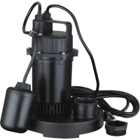 Pompe de puisard submersible thermoplastique, 2560 gal./h, 115 V, 4,6 A, 1/3 CV Helyx Safety & Industrial Supplies