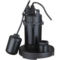 Pompe de puisard submersible thermoplastique, 2560 gal./h, 115 V, 4,6 A, 1/3 CV Helyx Safety & Industrial Supplies