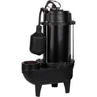 Pompe d'effluent en fonte, 4800 gal./h, 120 V, 7,8 A, 1/2 CV Helyx Safety & Industrial Supplies