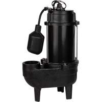 Cast Iron Sewage Pump, 120 V, 9.5 A, 6000 GPH, 1/2 HP Helyx Safety & Industrial Supplies