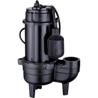Cast Iron Sewage Pump, 120 V, 9.5 A, 6000 GPH, 1/2 HP Helyx Safety & Industrial Supplies