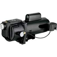 Dual Voltage Cast Iron Shallow Well Jet Pump, 115 V/230 V, 1260 GPH, 1 HP Helyx Safety & Industrial Supplies