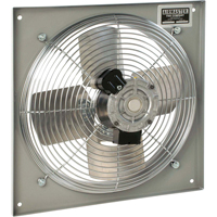 Ventilateurs muraux d'usage g&eacute;n&eacute;ral, Commercial, 2 vitesses, Diam&egrave;tre de 10" Helyx Safety & Industrial Supplies