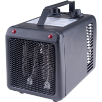 Radiateur portatif &agrave; serpentins ouverts, Chaleur radiante, &eacute;lectrique, 5200 Helyx Safety & Industrial Supplies