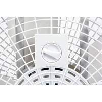 Box Fan, Commercial, 3 Speed, 20" Diameter Helyx Safety & Industrial Supplies