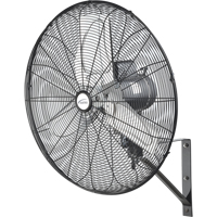 Ventilateur mural oscillant, Industriel, 2 vitesses, Diam&egrave;tre de 24" Helyx Safety & Industrial Supplies
