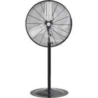 Oscillating Pedestal Fan, Heavy-Duty, 2 Speed, 30" Diameter Helyx Safety & Industrial Supplies