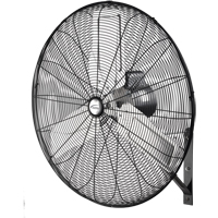 Ventilateur mural non oscillant, Industriel, 2 vitesses, Diam&egrave;tre de 30" Helyx Safety & Industrial Supplies