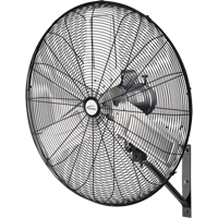 Ventilateur mural oscillant, Industriel, 2 vitesses, Diam&egrave;tre de 30" Helyx Safety & Industrial Supplies