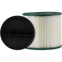 CleanStream&reg; Gore&reg; High Efficiency Filter, Cartridge, Fits 5 US gal. Helyx Safety & Industrial Supplies