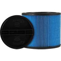 Ultra-Web&reg; Vacuum Filter, Cartridge, Fits 5 US gal. Helyx Safety & Industrial Supplies