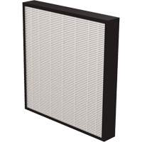 V&eacute;ritables filtres HEPA AeraMax Pro AM3 & AM4 2", Boîte, 13,75" la x 2,25" p x 14,38" h Helyx Safety & Industrial Supplies