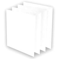 Pr&eacute;-filtres AeraMax Pro AM3 ou AM4, 13,75" la x 0,13" p x 14,38" h Helyx Safety & Industrial Supplies