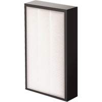 V&eacute;ritables filtre HEPA AeraMax Pro AM2 1-3/4", Boîte, 7,38" la x 1,88" p x 12,88" h Helyx Safety & Industrial Supplies
