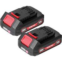 Piles au lithium 2.0Ah- Paquet de 2, 20 V Helyx Safety & Industrial Supplies