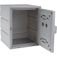 Casier, 15" x 15" x 18", Gris, Assembl&eacute; Helyx Safety & Industrial Supplies