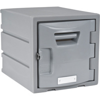 Casier, 12" x 15" x 12", Gris, Assembl&eacute; Helyx Safety & Industrial Supplies