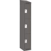Casiers Clean Line, 3 niveaux, 12" x 18" x 78", Acier, Charbon, Rivet (assembl&eacute;) Helyx Safety & Industrial Supplies
