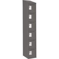 Petits casiers Clean Line, 6 niveaux, 12" x 18" x 78", Acier, Charbon, Rivet (assembl&eacute;) Helyx Safety & Industrial Supplies