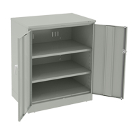 Armoire &agrave; hauteur de comptoir de luxe, Acier, 2 Tablettes, 42" h x 36" la x 24" P, Gris p&acirc;le Helyx Safety & Industrial Supplies