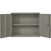 Armoire murale, Acier, 2 Tablettes, 30" h x 36" la x 12" P, Gris Helyx Safety & Industrial Supplies