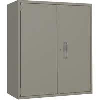Armoire de rangement Lo-Boy, Acier, 2 Tablettes, 40" h x 36" la x 18" P, Gris Helyx Safety & Industrial Supplies