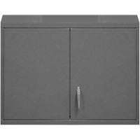 Wall-Mounted Cabinet, 27" H x 29-7/8" W x 13-11/16" D, 2 Shelves, Steel, Grey Helyx Safety & Industrial Supplies