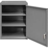 Wall-Mounted Cabinet, 27" H x 13-11/16" W x 18" D, 2 Shelves, Steel, Grey Helyx Safety & Industrial Supplies