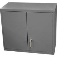 Wall-Mounted Cabinet, 27" H x 13-11/16" W x 35-7/8" D, 2 Shelves, Steel, Grey Helyx Safety & Industrial Supplies