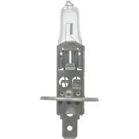 64155 Ampoule automobile de base, Halog&egrave;ne, 78 W, Blanc cass&eacute; Helyx Safety & Industrial Supplies