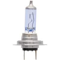 Ampoule de feu avant SilverStar zXe H7, Halog&egrave;ne/DHI, 56 W, Blanc Helyx Safety & Industrial Supplies