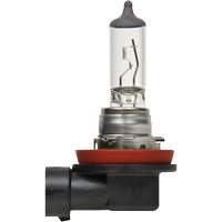 Ampoule de base pour feu avant H8, Halog&egrave;ne, 35 W, Blanc cass&eacute; Helyx Safety & Industrial Supplies