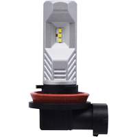 Ampoule pour feu avant H8, DEL, 12,8 W/9 W, Blanc Helyx Safety & Industrial Supplies