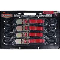 Tendeurs d'arrimage &agrave; cliquet, Crochet en S, 1" , 12' , Charge d'utilisation max. 500 lb (230 kg) Helyx Safety & Industrial Supplies