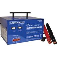 Intellamatic&reg; 12 Volt Charger, Analyzer & Power Supply Helyx Safety & Industrial Supplies