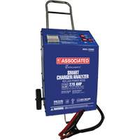 Intellamatic&reg; 12 Volt 60 Amp Wheeled Charger Helyx Safety & Industrial Supplies
