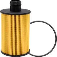 P40147 &eacute;l&eacute;ment filtrant pour l'huile Helyx Safety & Industrial Supplies