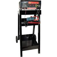 Testeur automatique de syst&egrave;me des batterie & &eacute;lectrique avec chariot Helyx Safety & Industrial Supplies