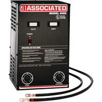 Powerful Performance Parallel Battery Charger Helyx Safety & Industrial Supplies