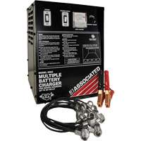 Multi-Battery Series Charger Helyx Safety & Industrial Supplies