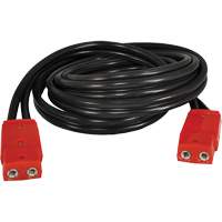 C&acirc;ble &agrave; fiche double, 4 AWG, C&acirc;ble 12' Helyx Safety & Industrial Supplies