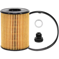 P40164 &eacute;l&eacute;ment filtrant pour l'huile Helyx Safety & Industrial Supplies