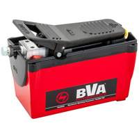 Pompe &agrave; air &agrave; une vitesse avec r&eacute;servoir de 122,1 po³ Helyx Safety & Industrial Supplies